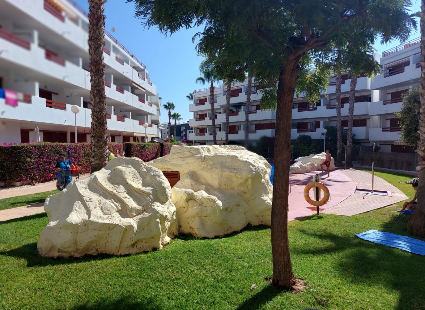 A Vendre - Appartement - Playa Flamenca - El Rincon