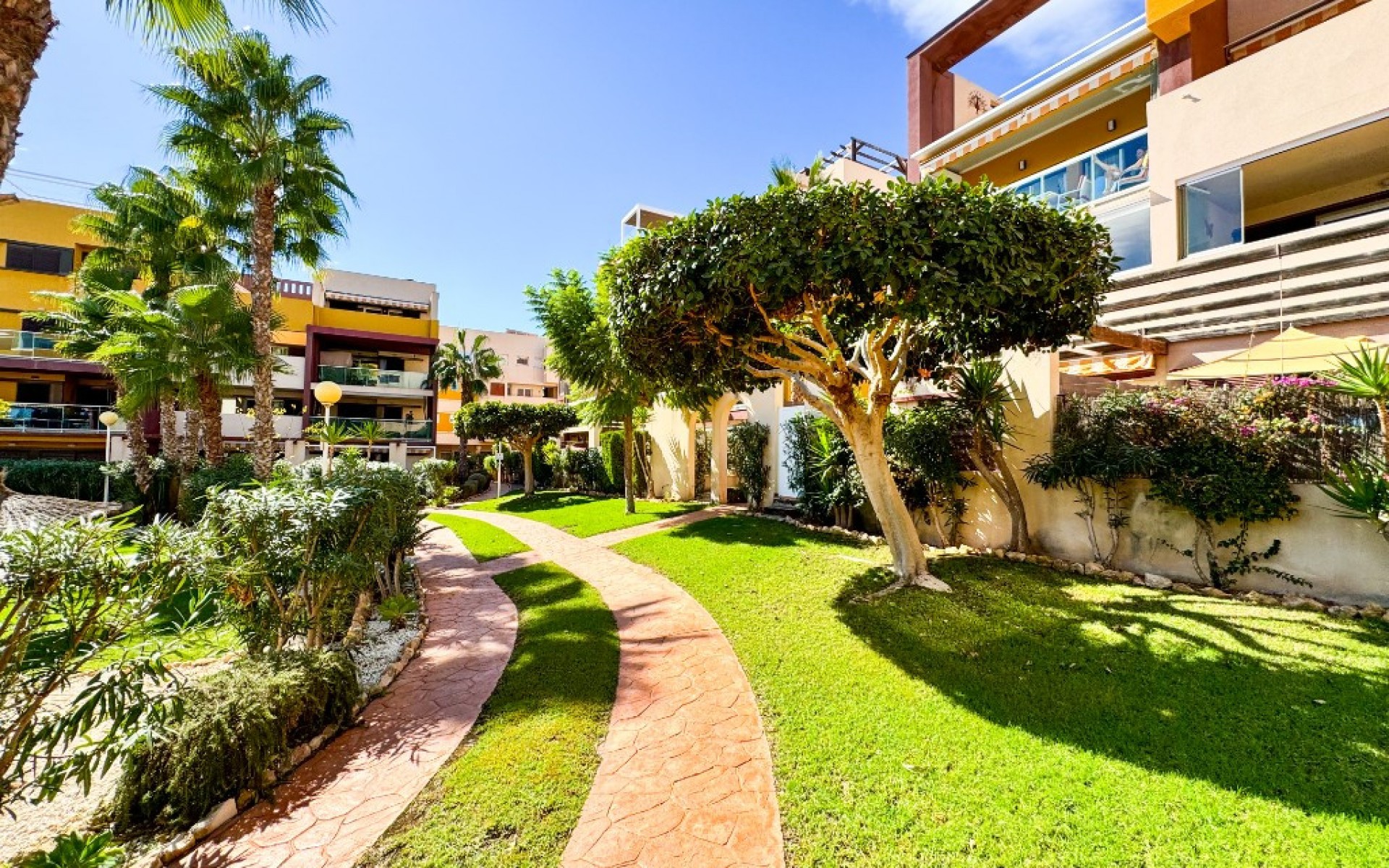 A Vendre - Appartement - Playa Flamenca