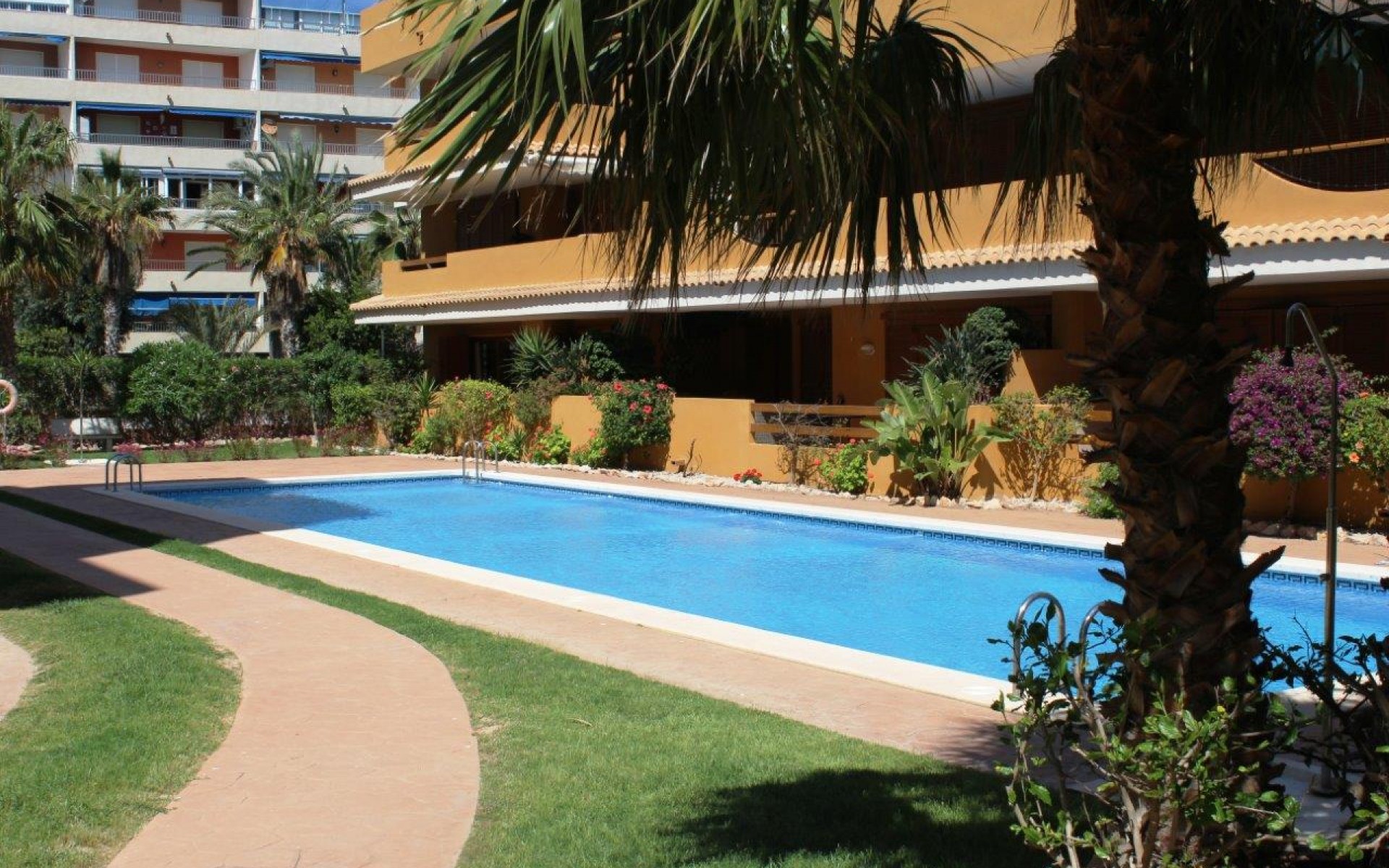 A Vendre - Appartement - Punta Prima - La Entrada