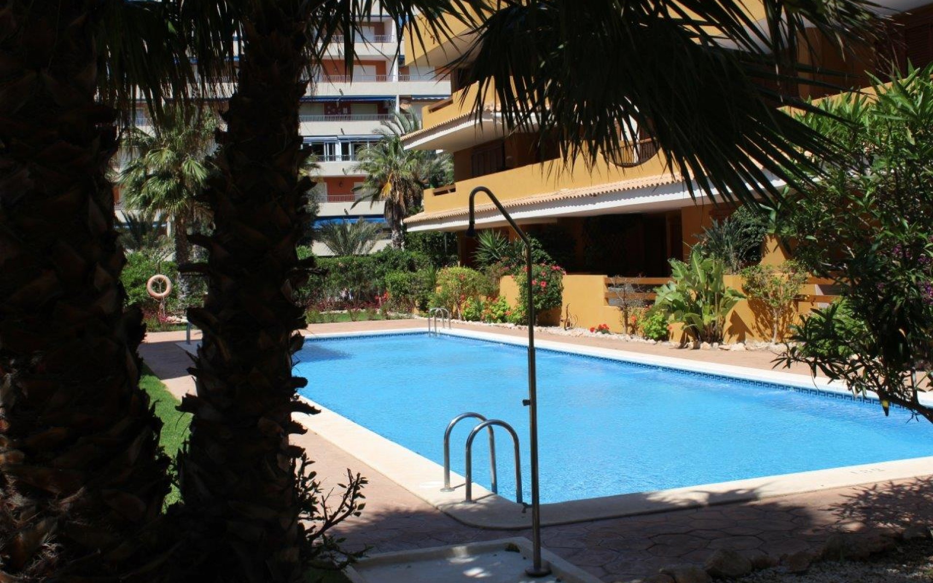 A Vendre - Appartement - Punta Prima - La Entrada