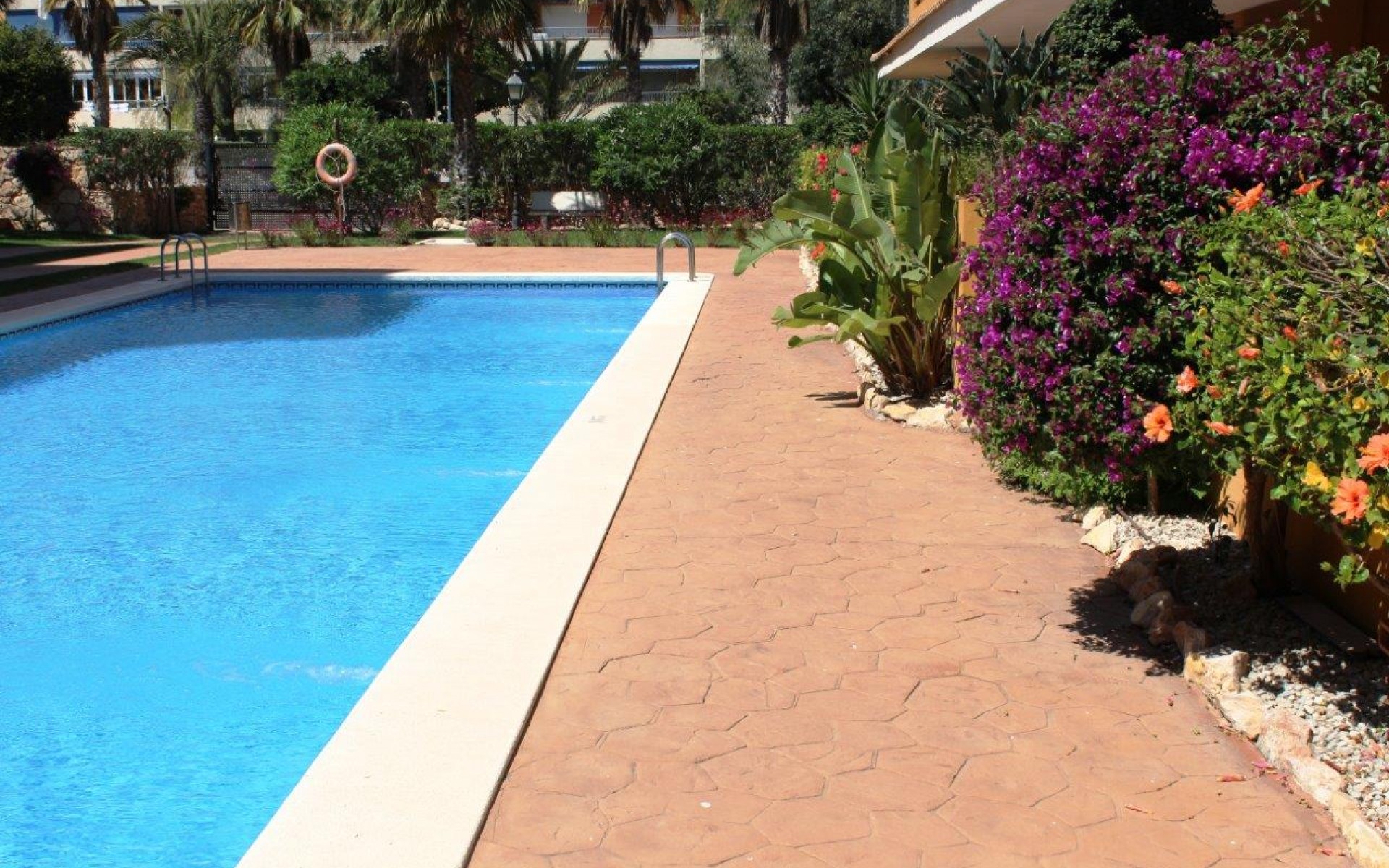 A Vendre - Appartement - Punta Prima - La Entrada