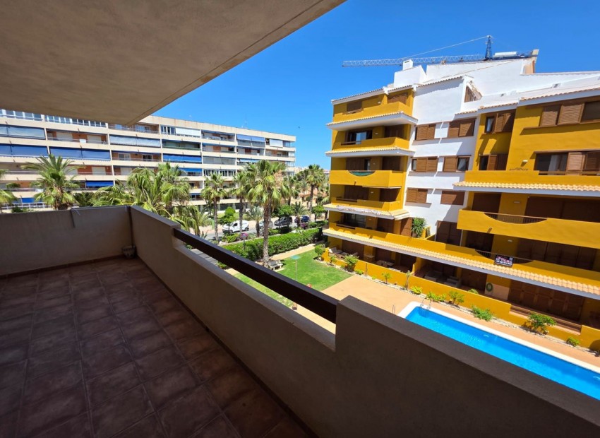 A Vendre - Appartement - Punta Prima