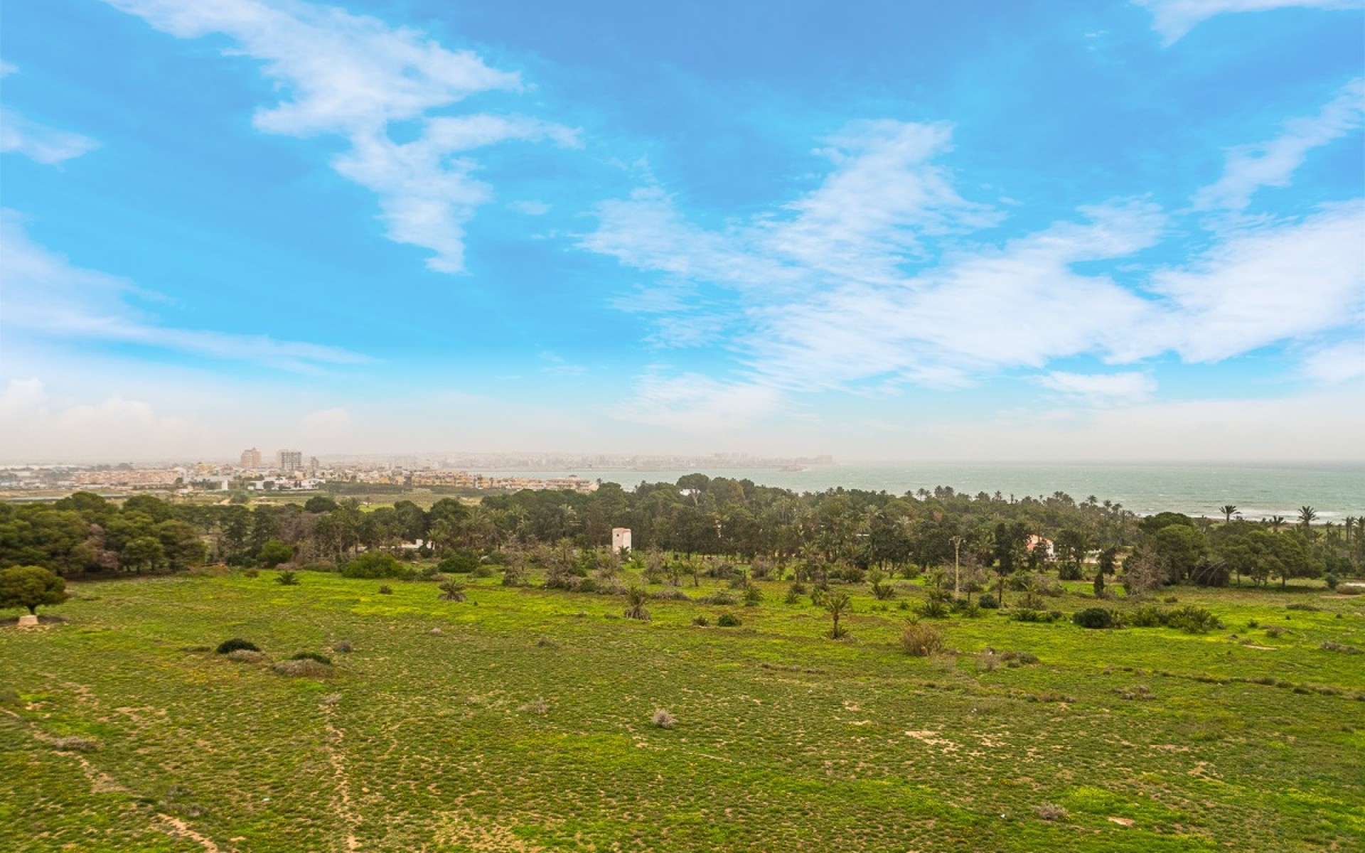 A Vendre - Appartement - Punta Prima