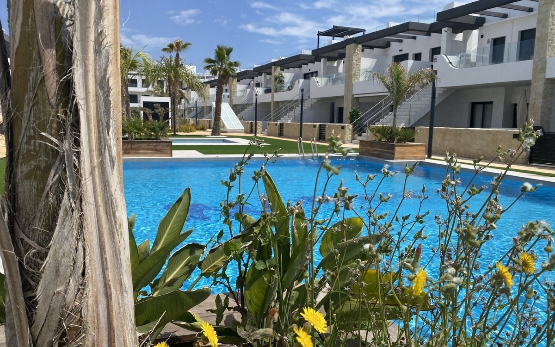 A Vendre - Appartement - Punta Prima