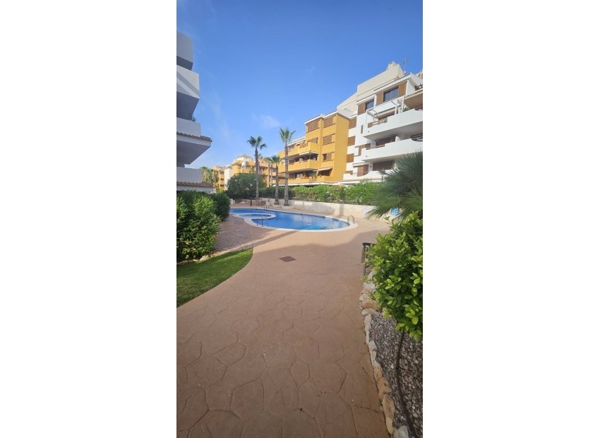 A Vendre - Appartement - Punta Prima