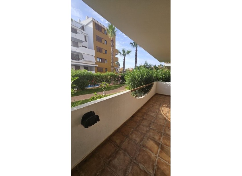 A Vendre - Appartement - Punta Prima