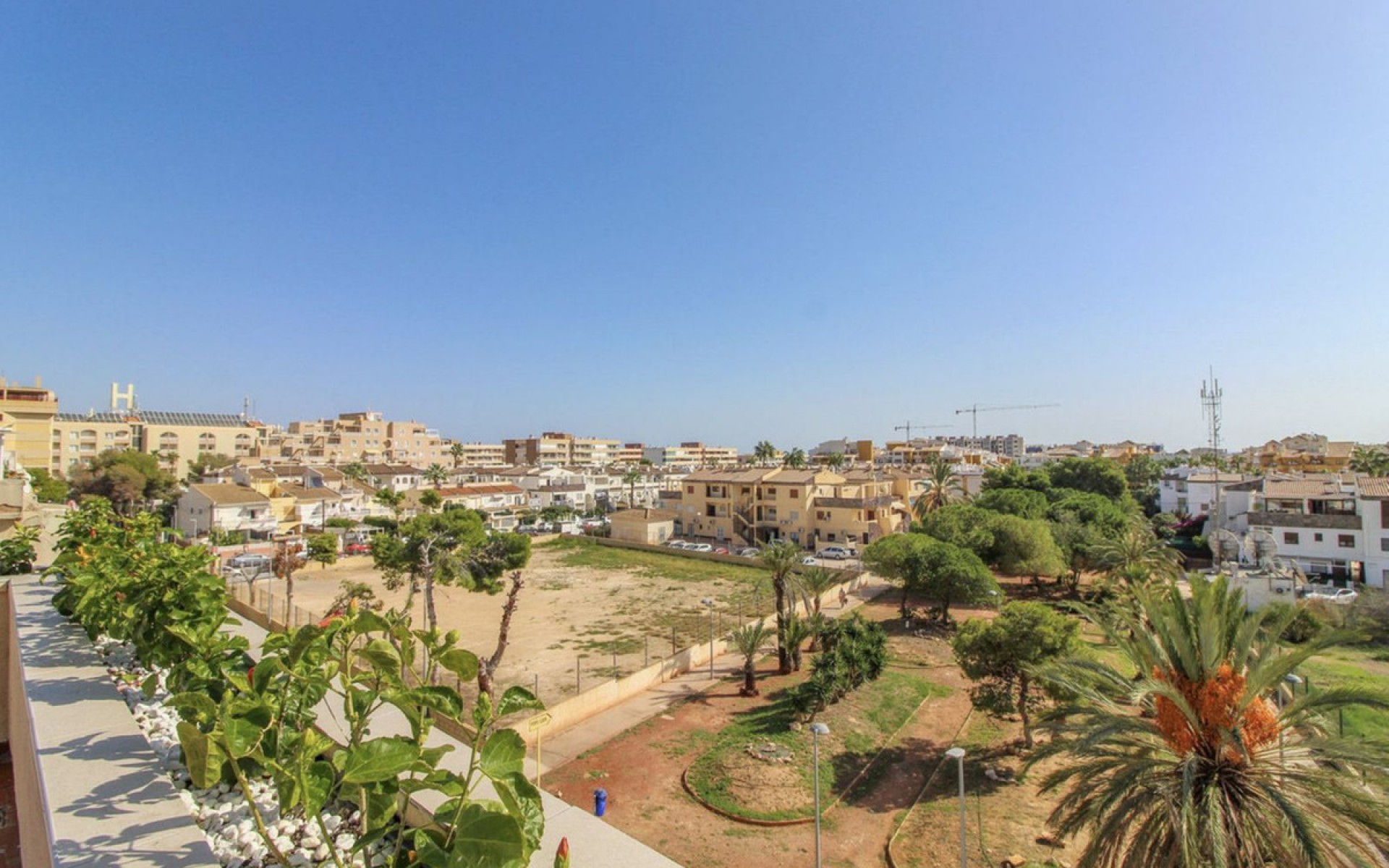 A Vendre - Appartement - Punta Prima
