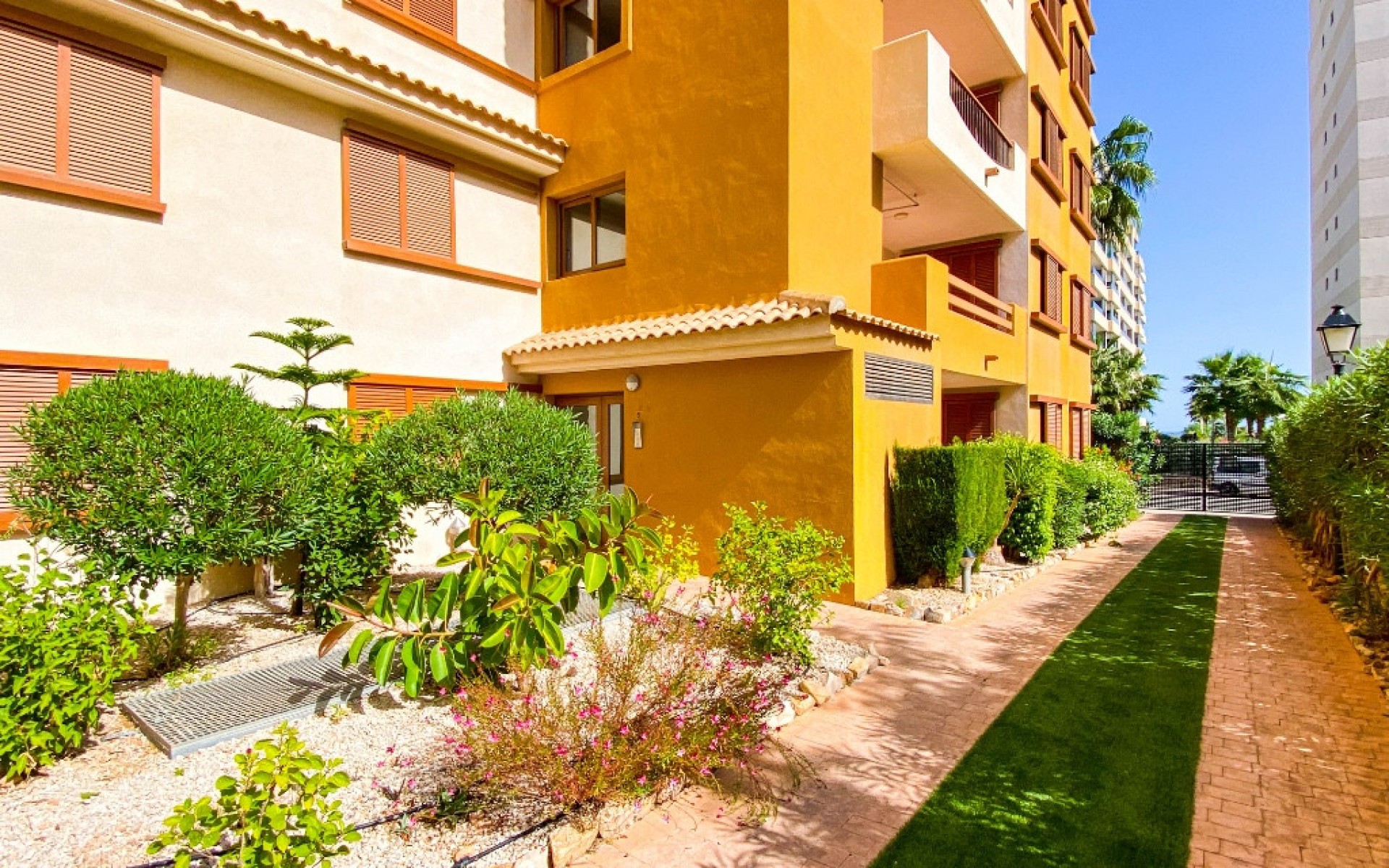 A Vendre - Appartement - Punta Prima