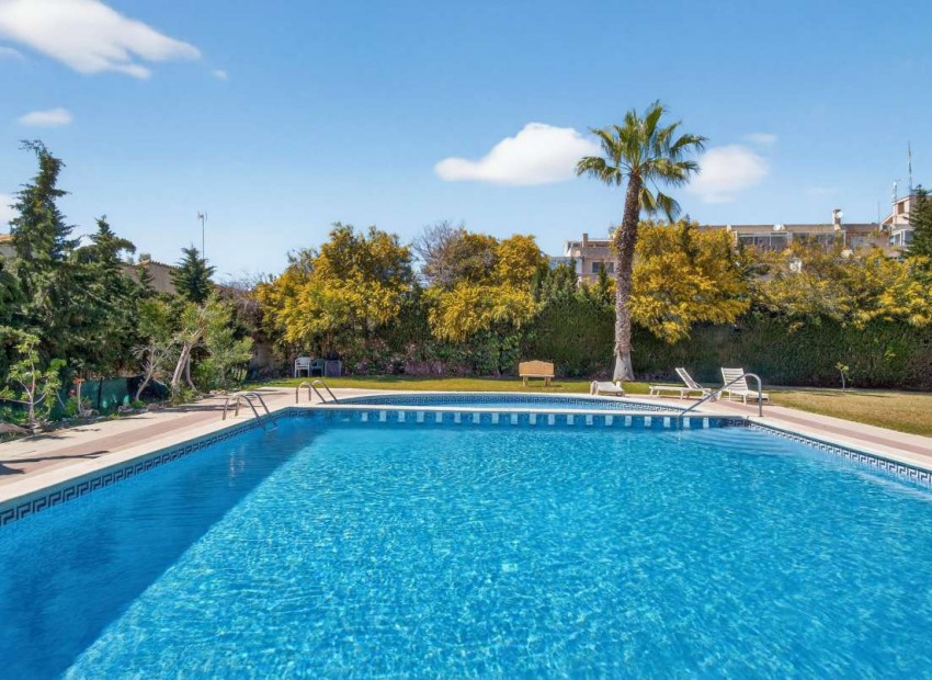 A Vendre - Appartement - Punta Prima