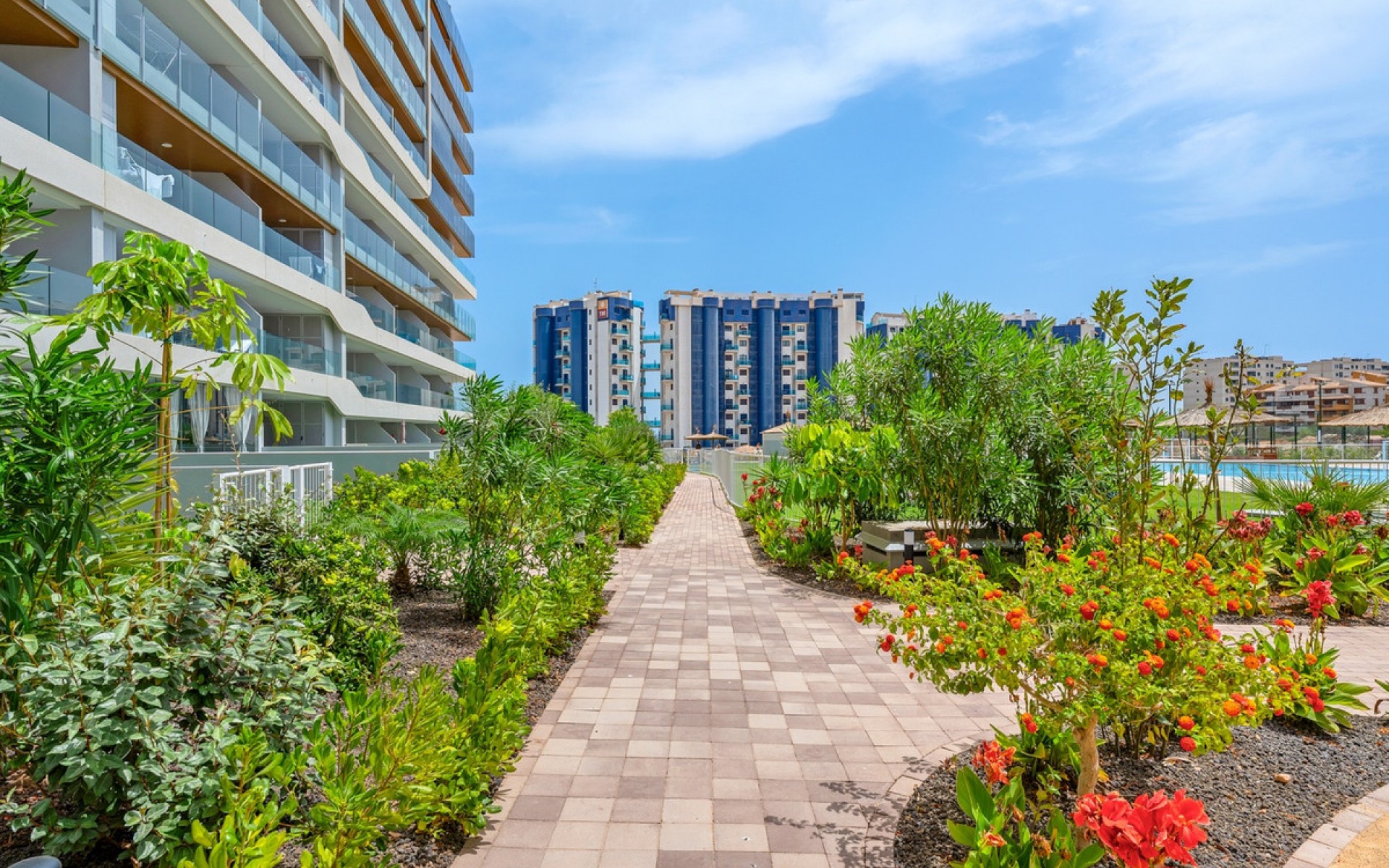 A Vendre - Appartement - Punta Prima