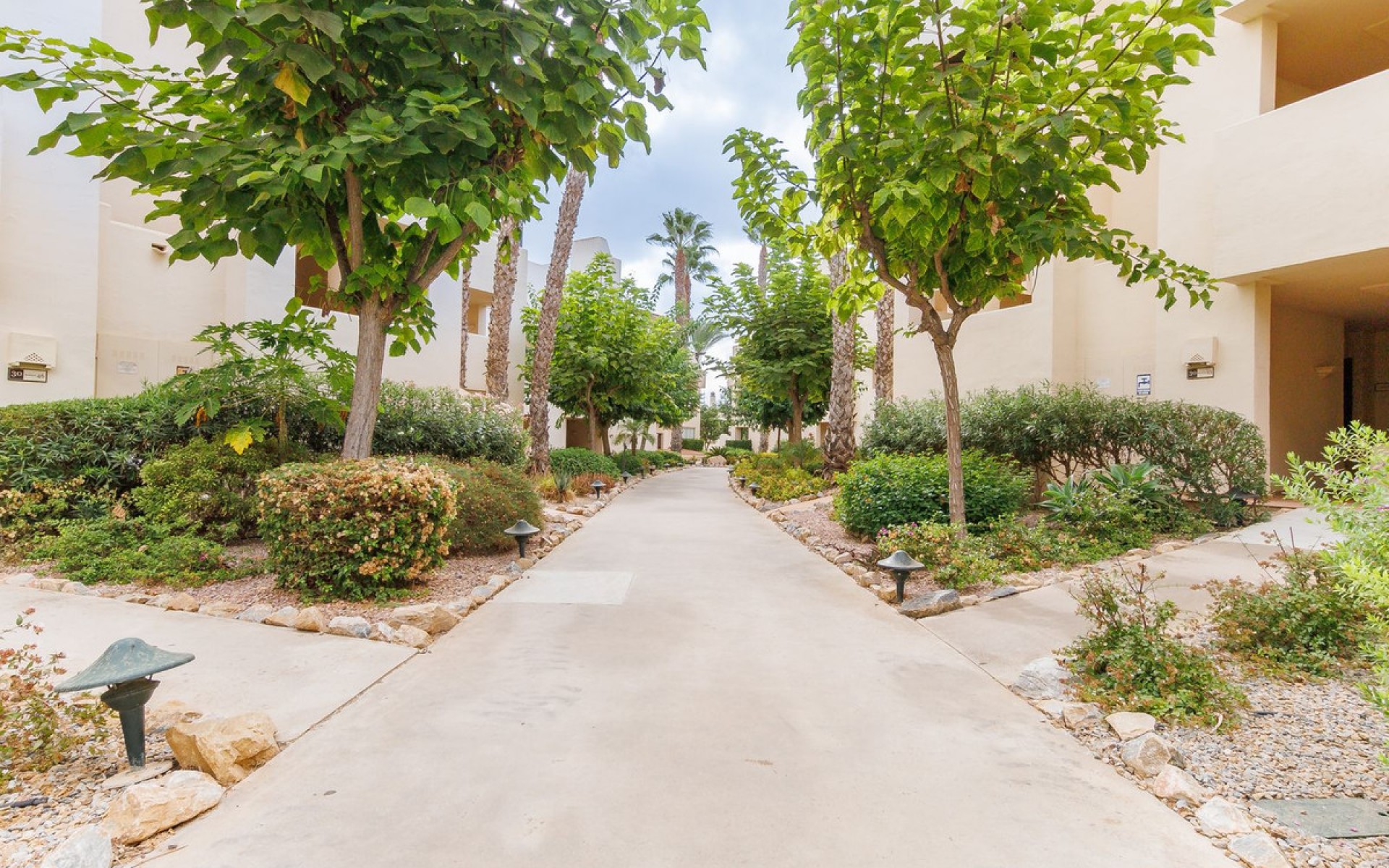 A Vendre - Appartement - San Javier - Roda Golf