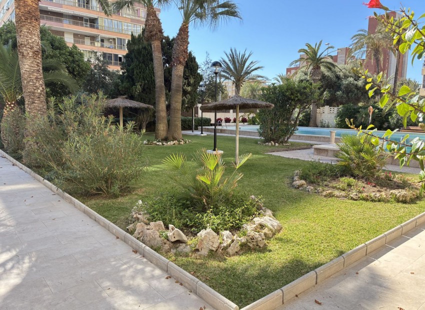 A Vendre - Appartement - San Juan de Alicante - Playa de San Juan