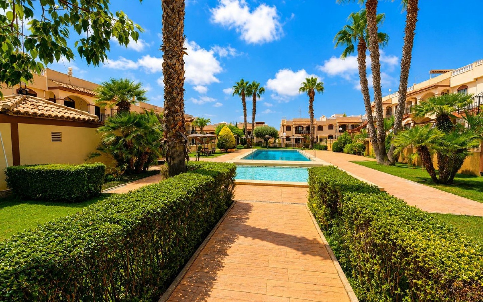 A Vendre - Appartement - Torrevieja - Aguas Nuevas