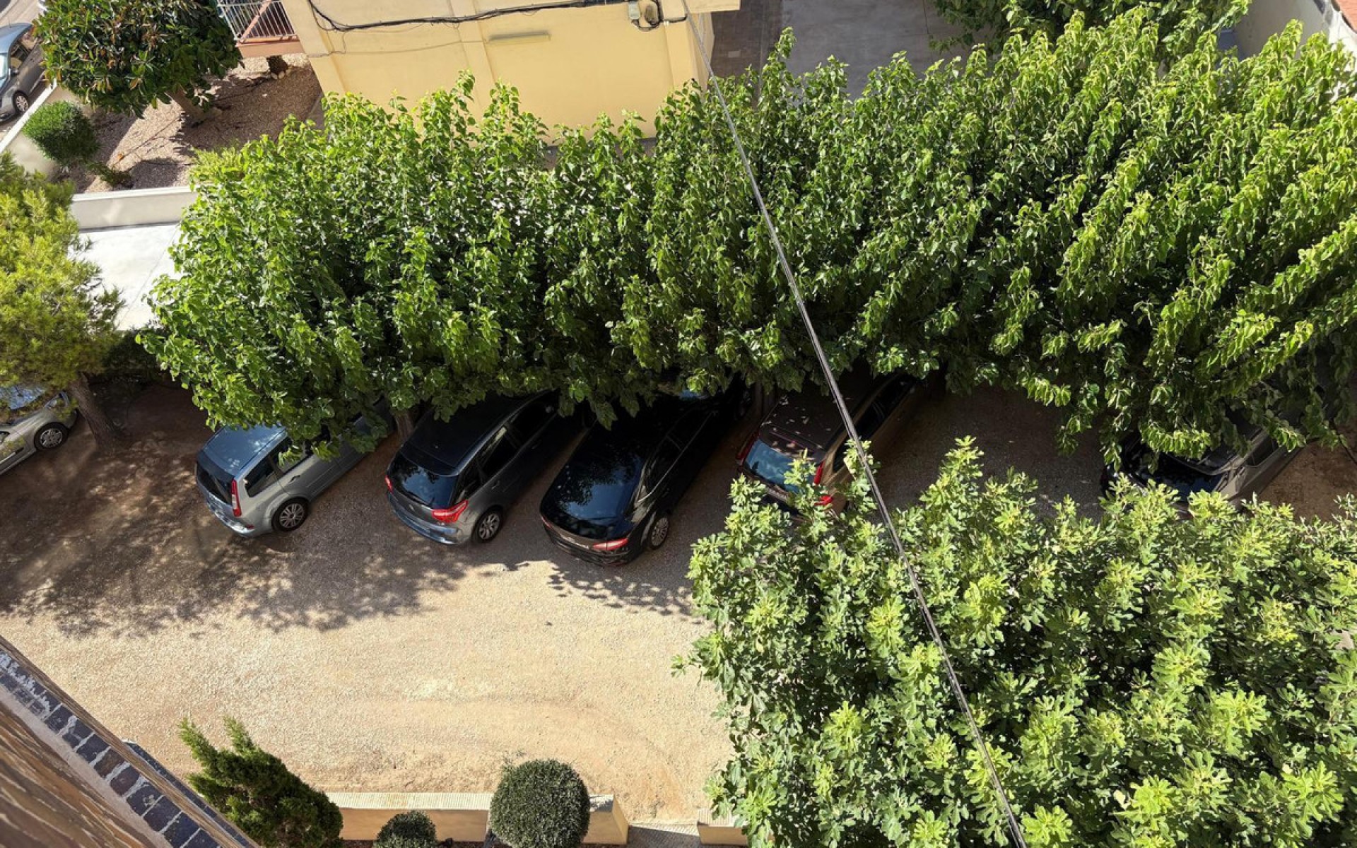 A Vendre - Appartement - Torrevieja - La Mata