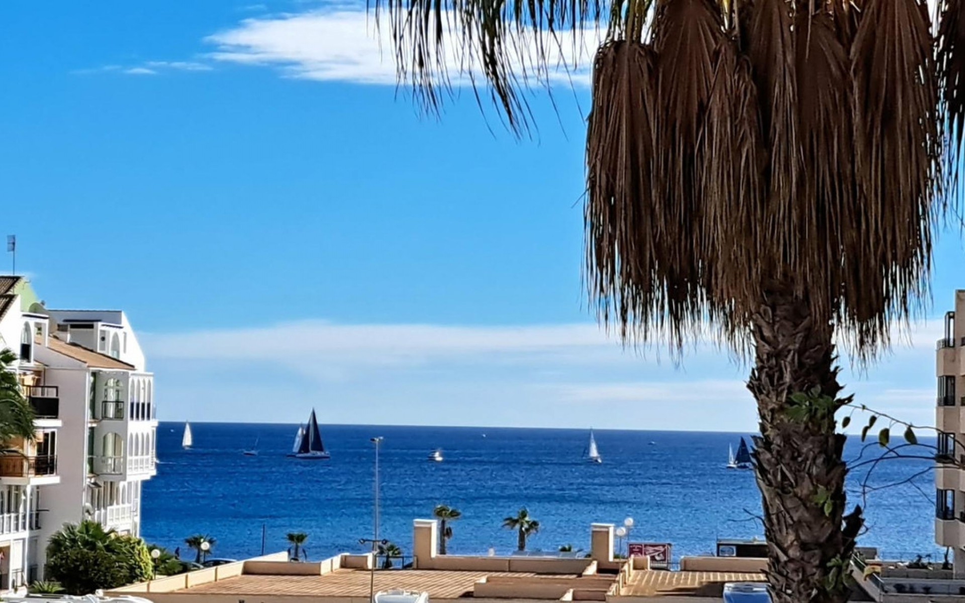 A Vendre - Appartement - Torrevieja - La Veleta