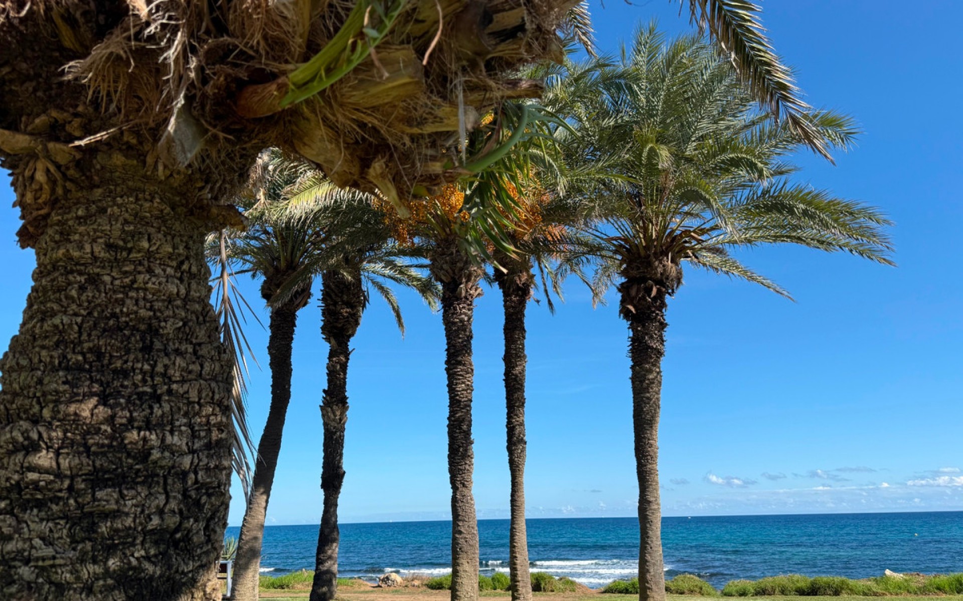 A Vendre - Appartement - Torrevieja - La Veleta