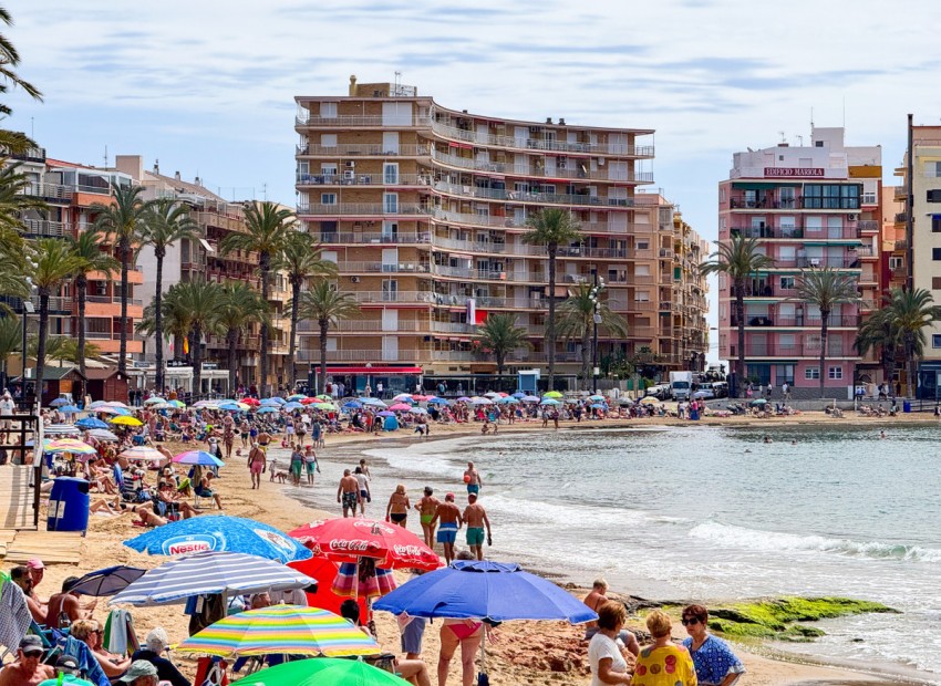 A Vendre - Appartement - Torrevieja - Playa del Cura