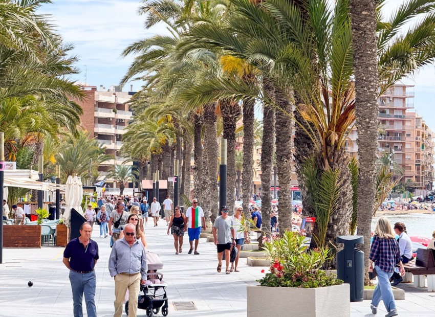 A Vendre - Appartement - Torrevieja - Playa del Cura