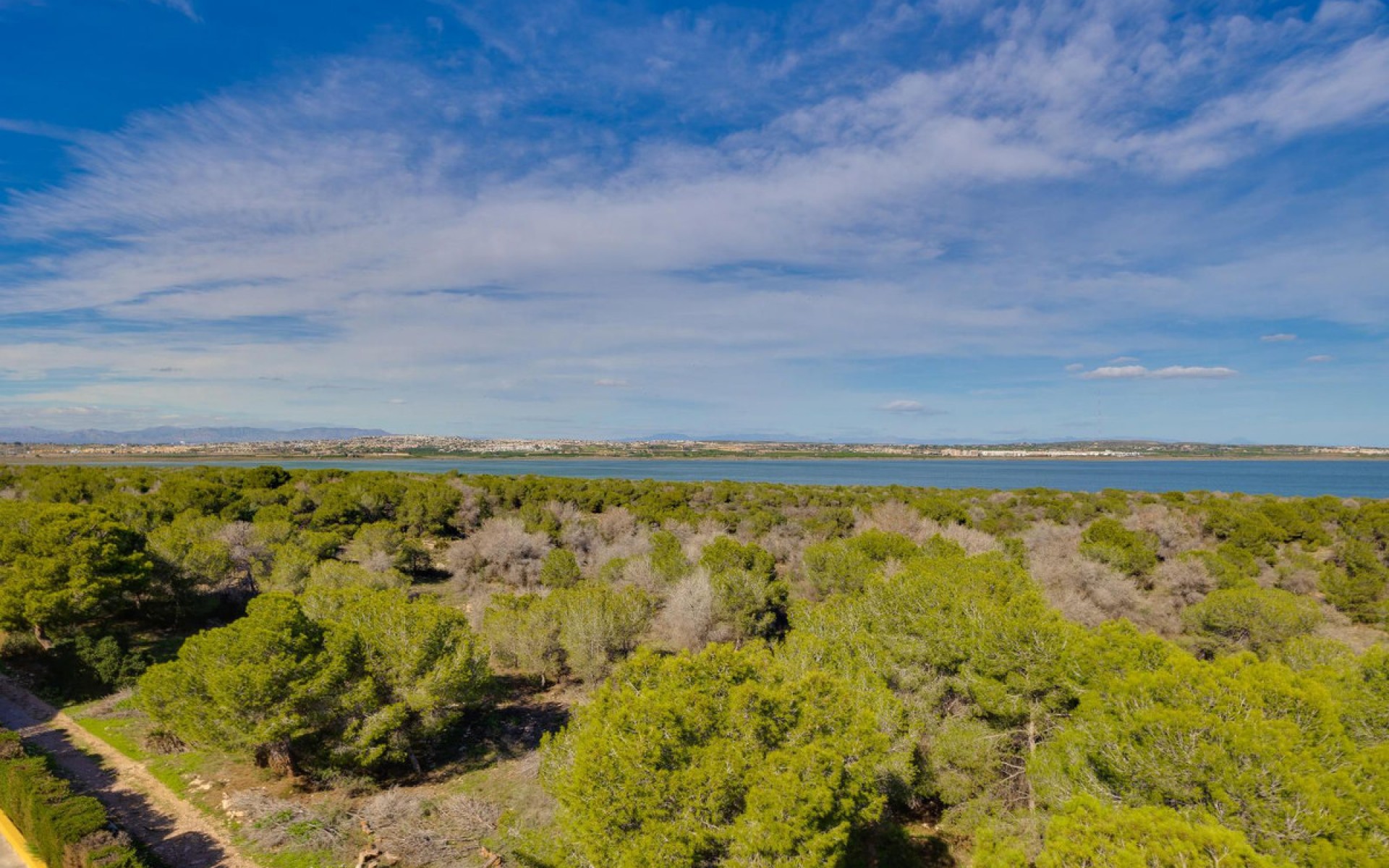 A Vendre - Appartement - Torrevieja - San Luis