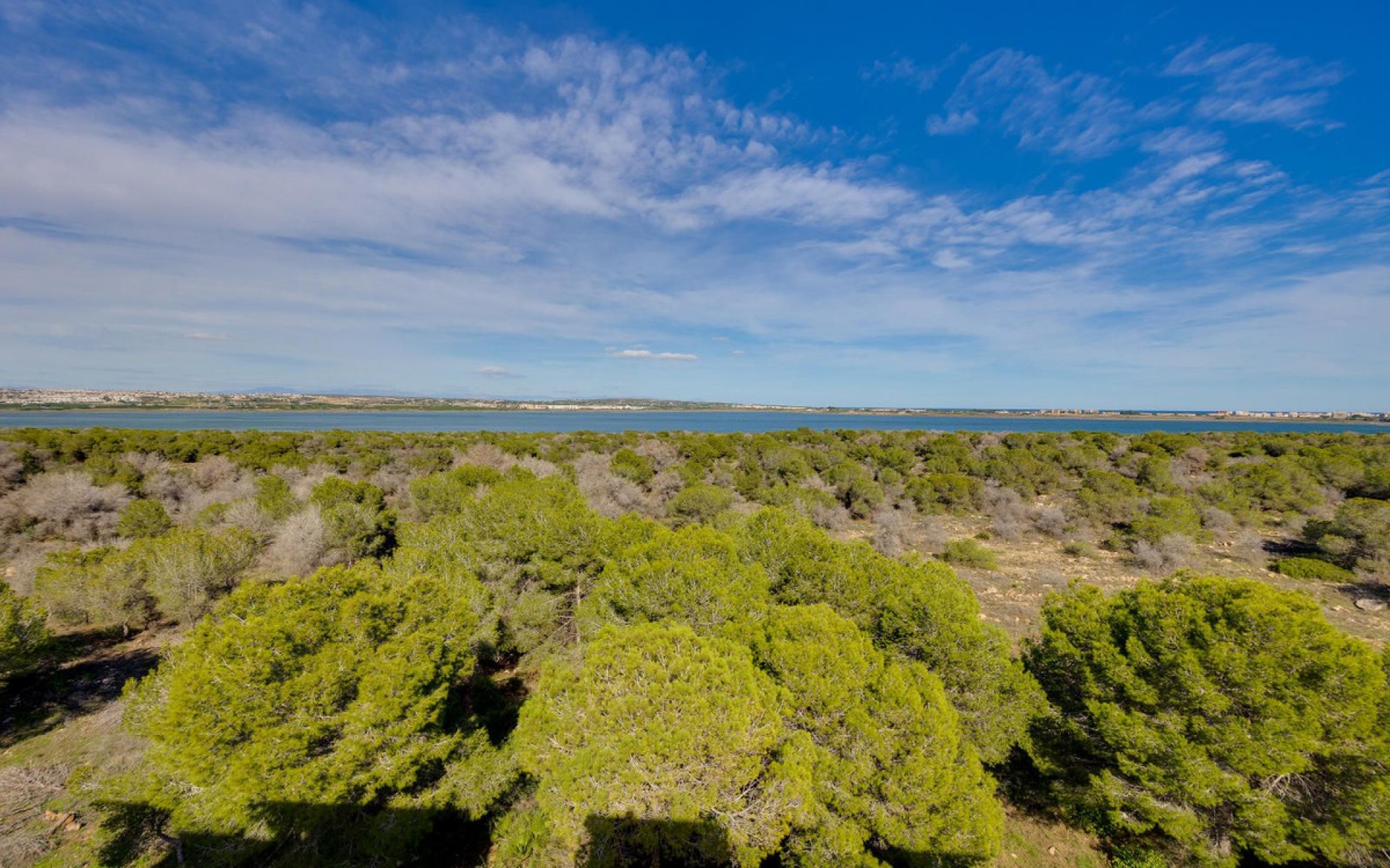 A Vendre - Appartement - Torrevieja - San Luis