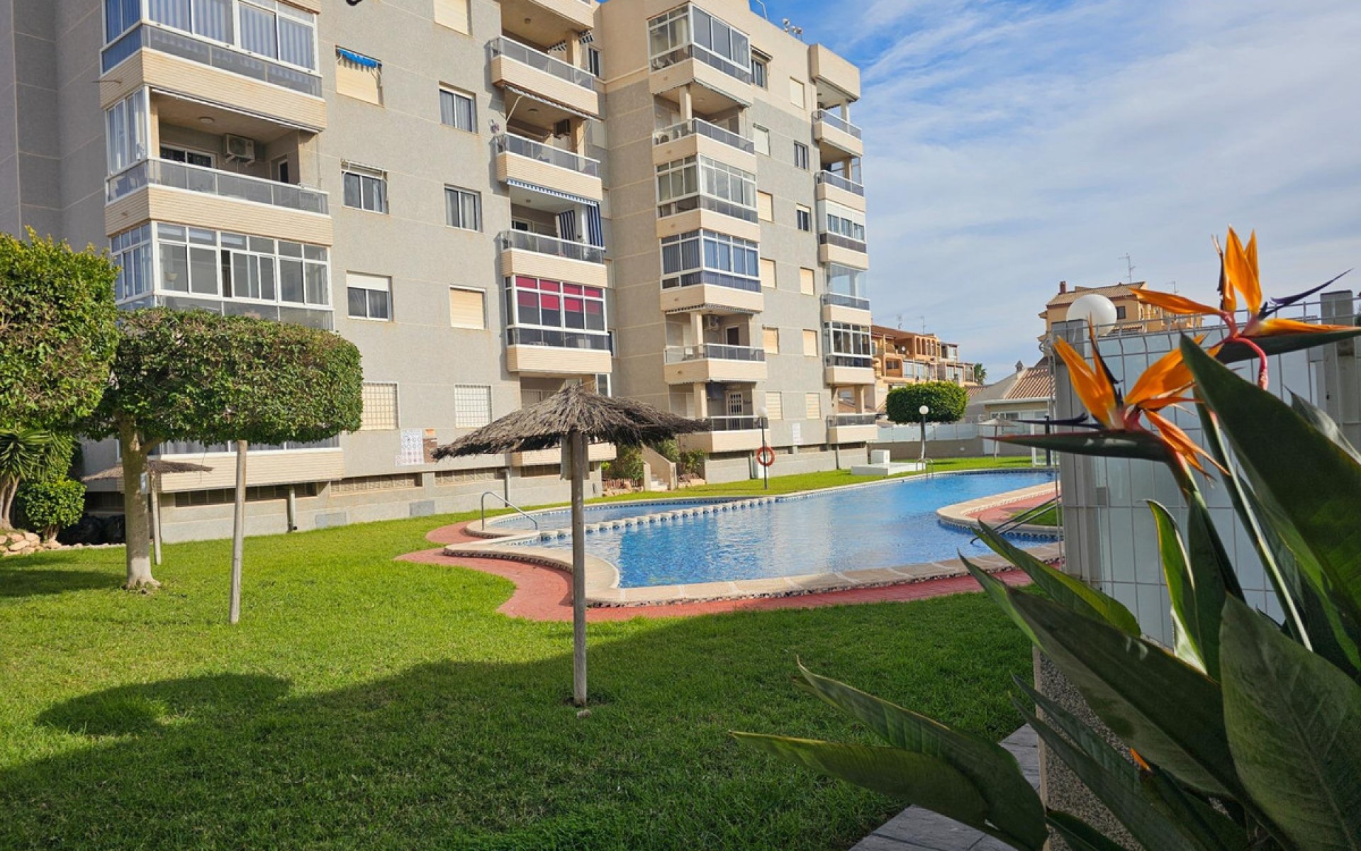 A Vendre - Appartement - Torrevieja - Torrevieja Centro