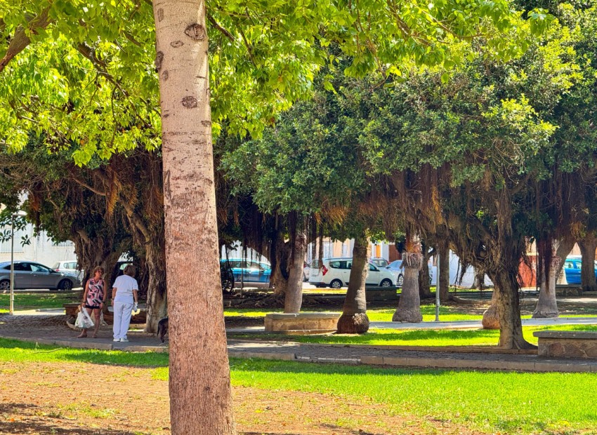 A Vendre - Appartement - Torrevieja - Torrevieja Centro