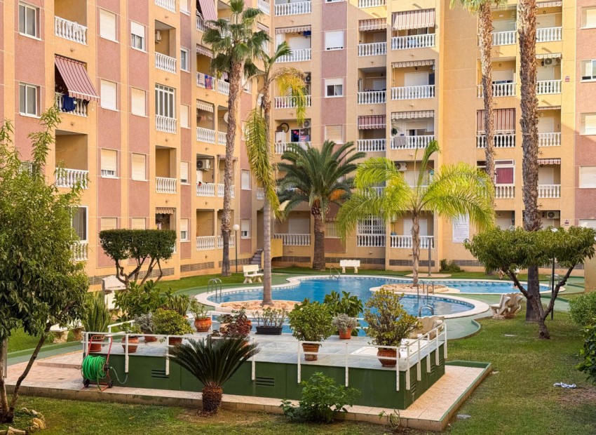 A Vendre - Appartement - Torrevieja - Torrevieja Centro