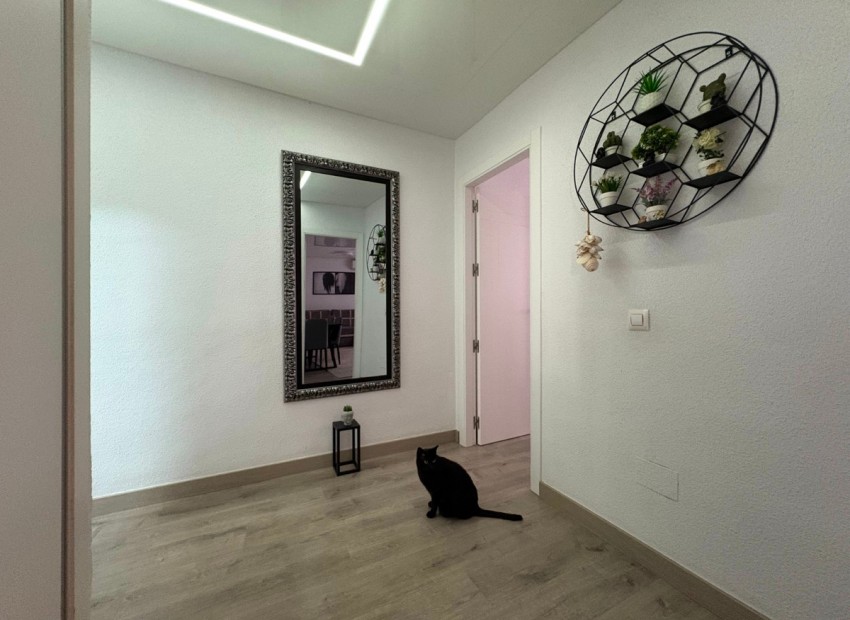 A Vendre - Appartement - Torrevieja - Torrevieja Centro