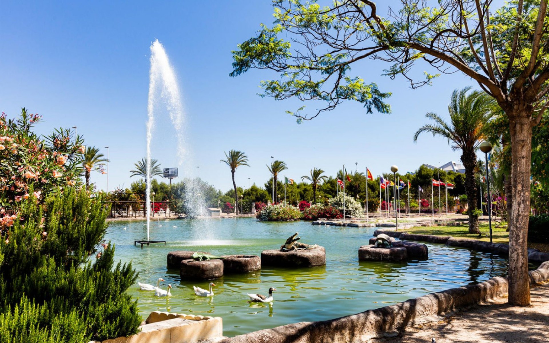 A Vendre - Appartement - Torrevieja - Torrevieja Centro