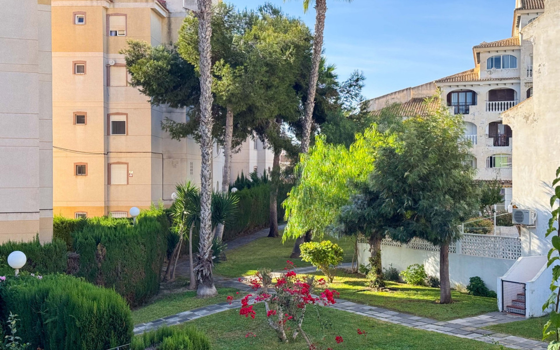 A Vendre - Appartement - Torrevieja - Torrevieja Centro