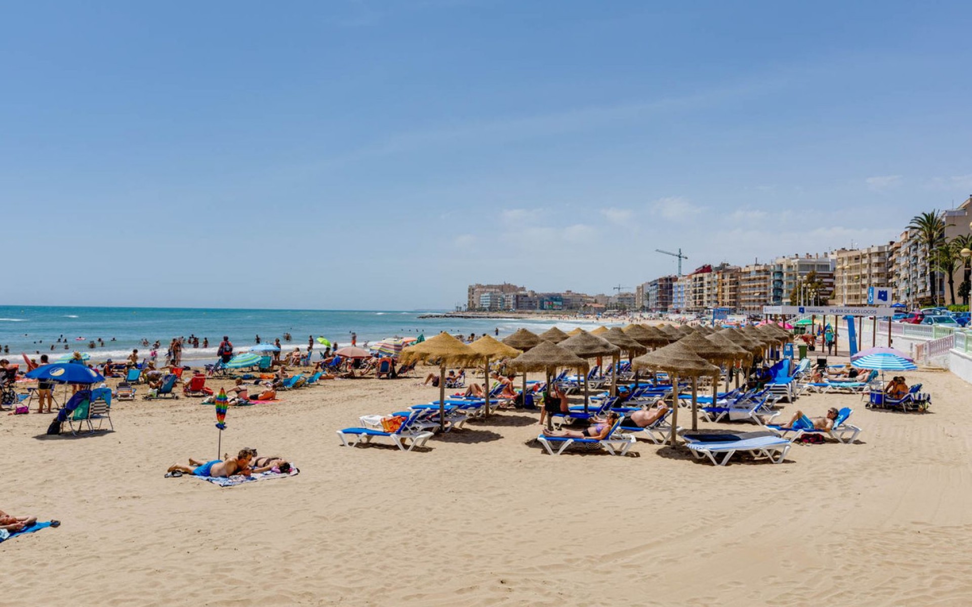 A Vendre - Appartement - Torrevieja - Torrevieja Centro