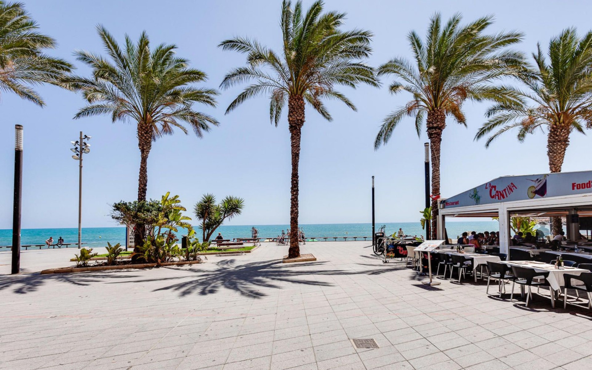 A Vendre - Appartement - Torrevieja - Torrevieja Centro