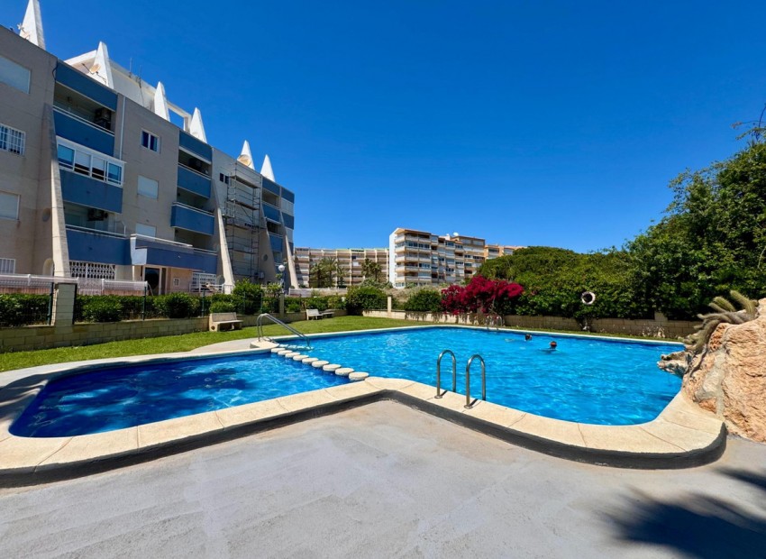 A Vendre - Appartement - Torrevieja - Torrevieja Centro