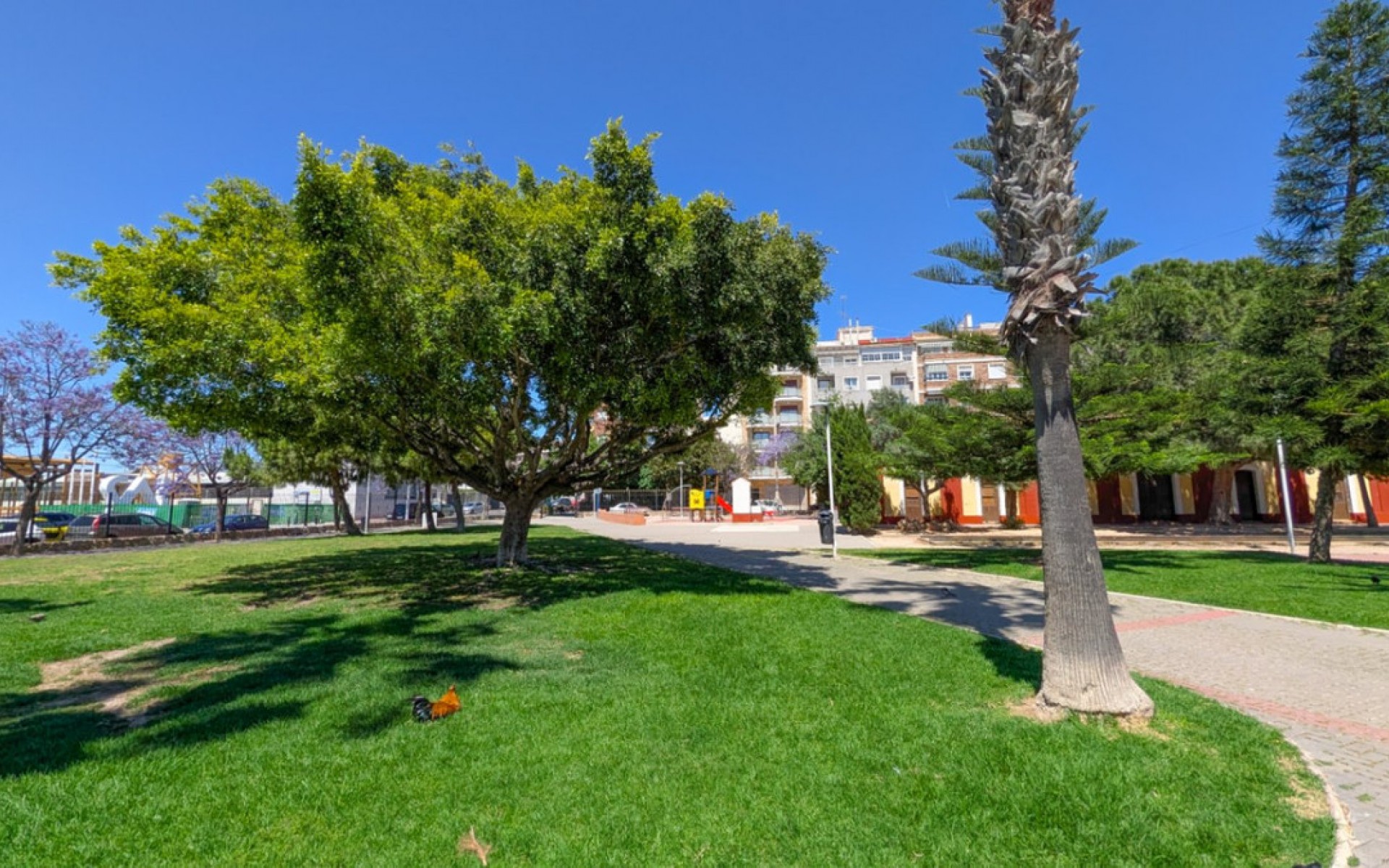 A Vendre - Appartement - Torrevieja - Torrevieja Centro