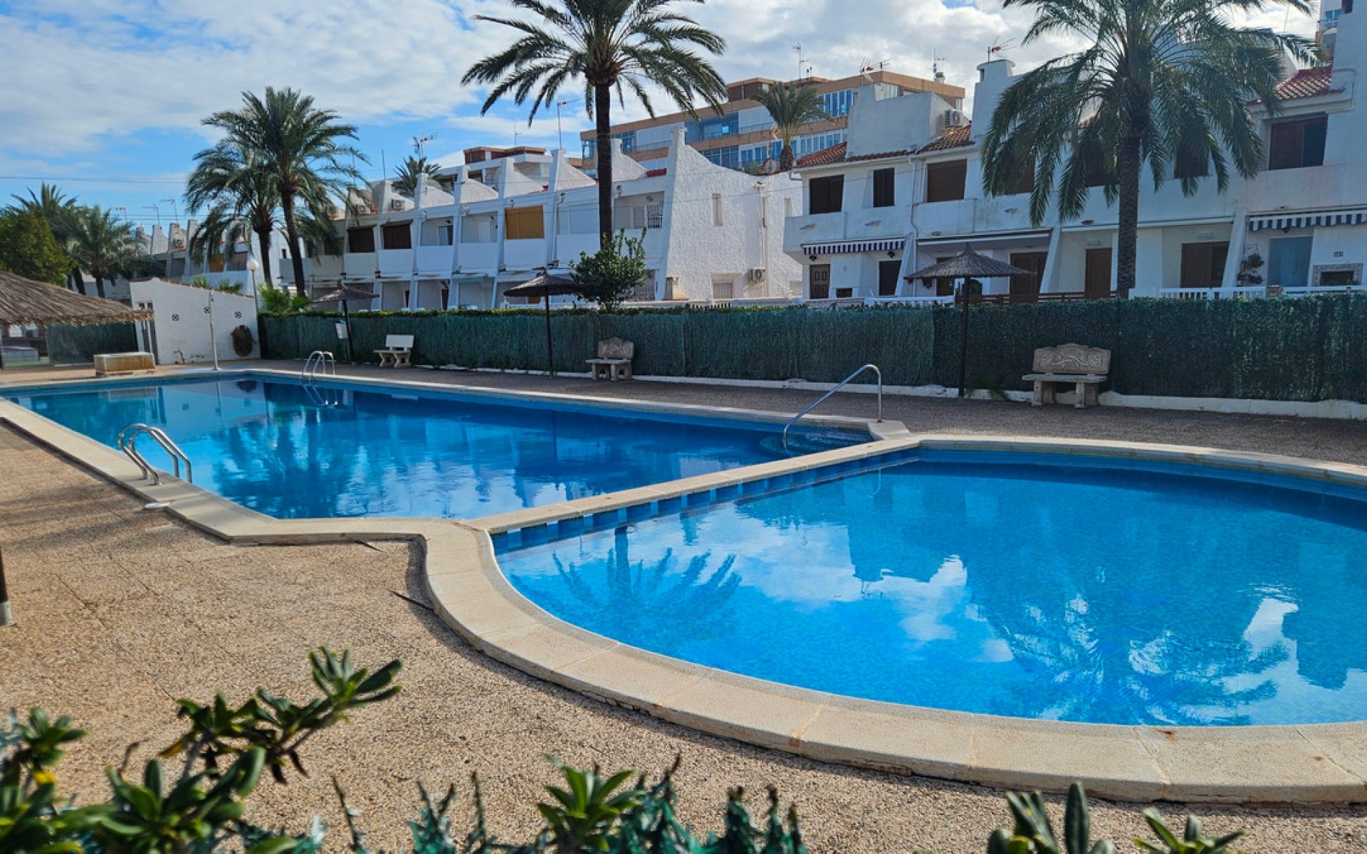 A Vendre - Appartement - Torrevieja - Torrevieja Centro