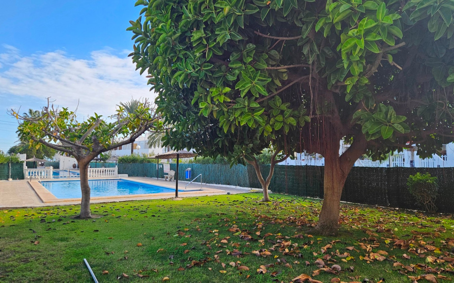 A Vendre - Appartement - Torrevieja - Torrevieja Centro