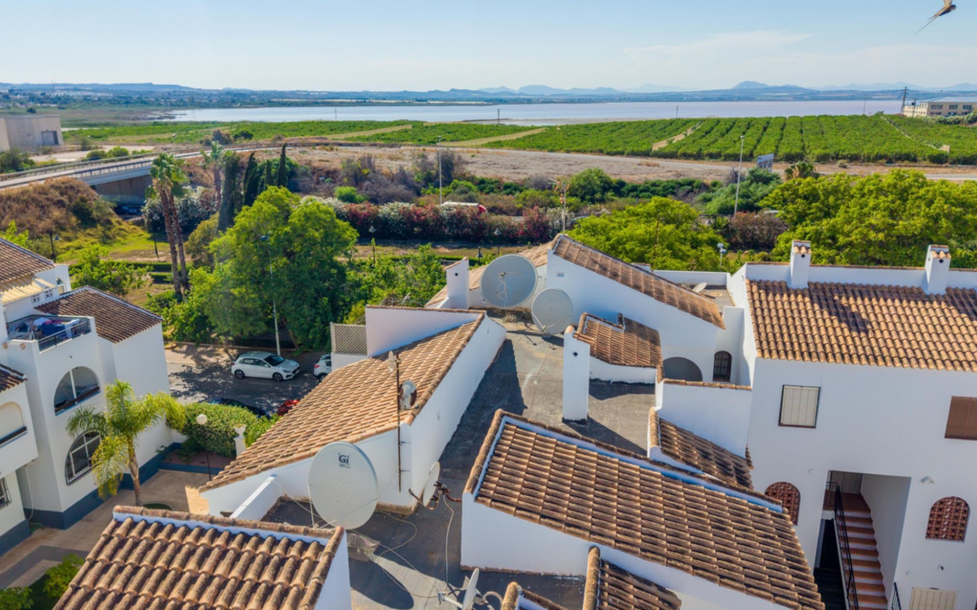 A Vendre - Appartement - Torrevieja - Torrevieja Centro