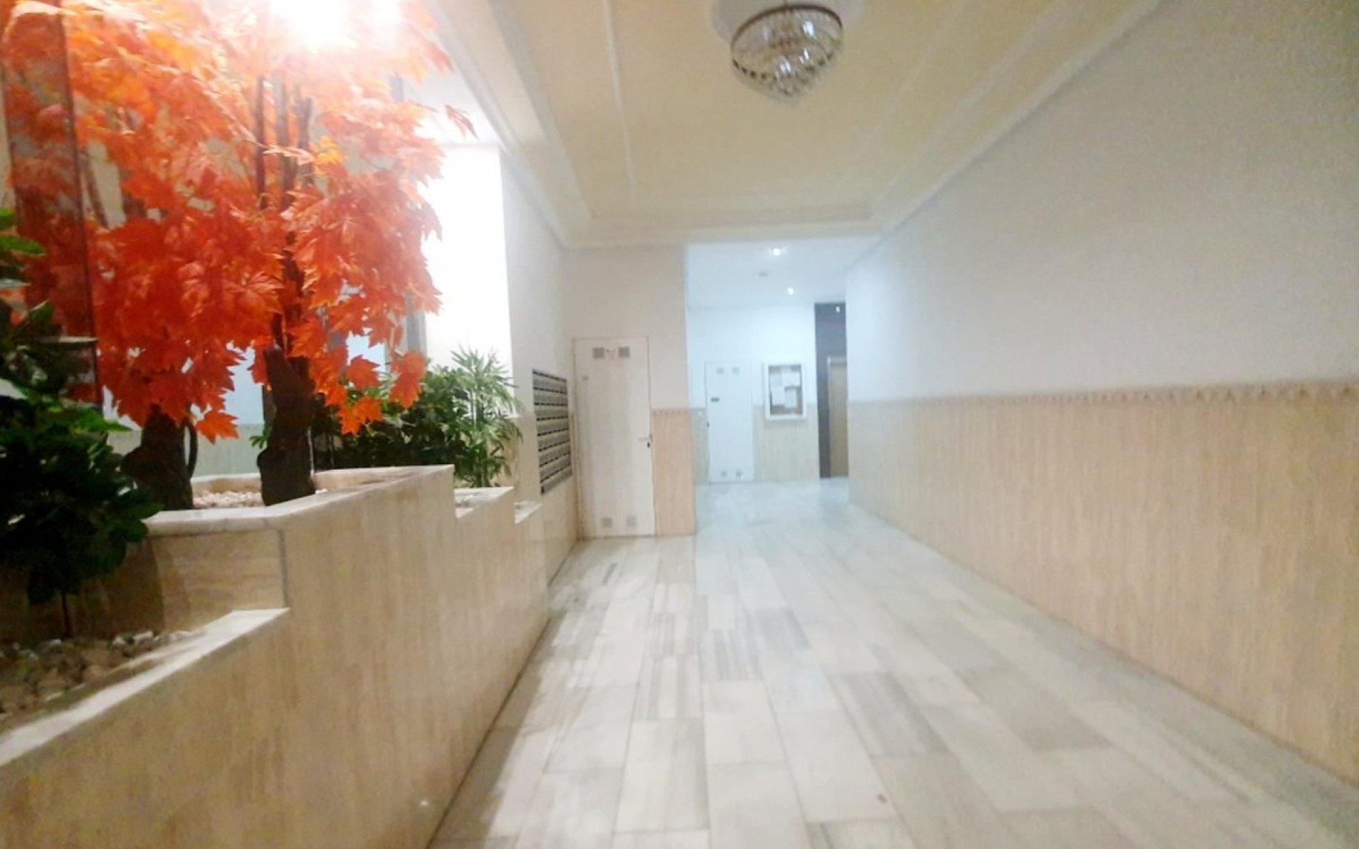 A Vendre - Appartement - Torrevieja - Torrevieja Centro