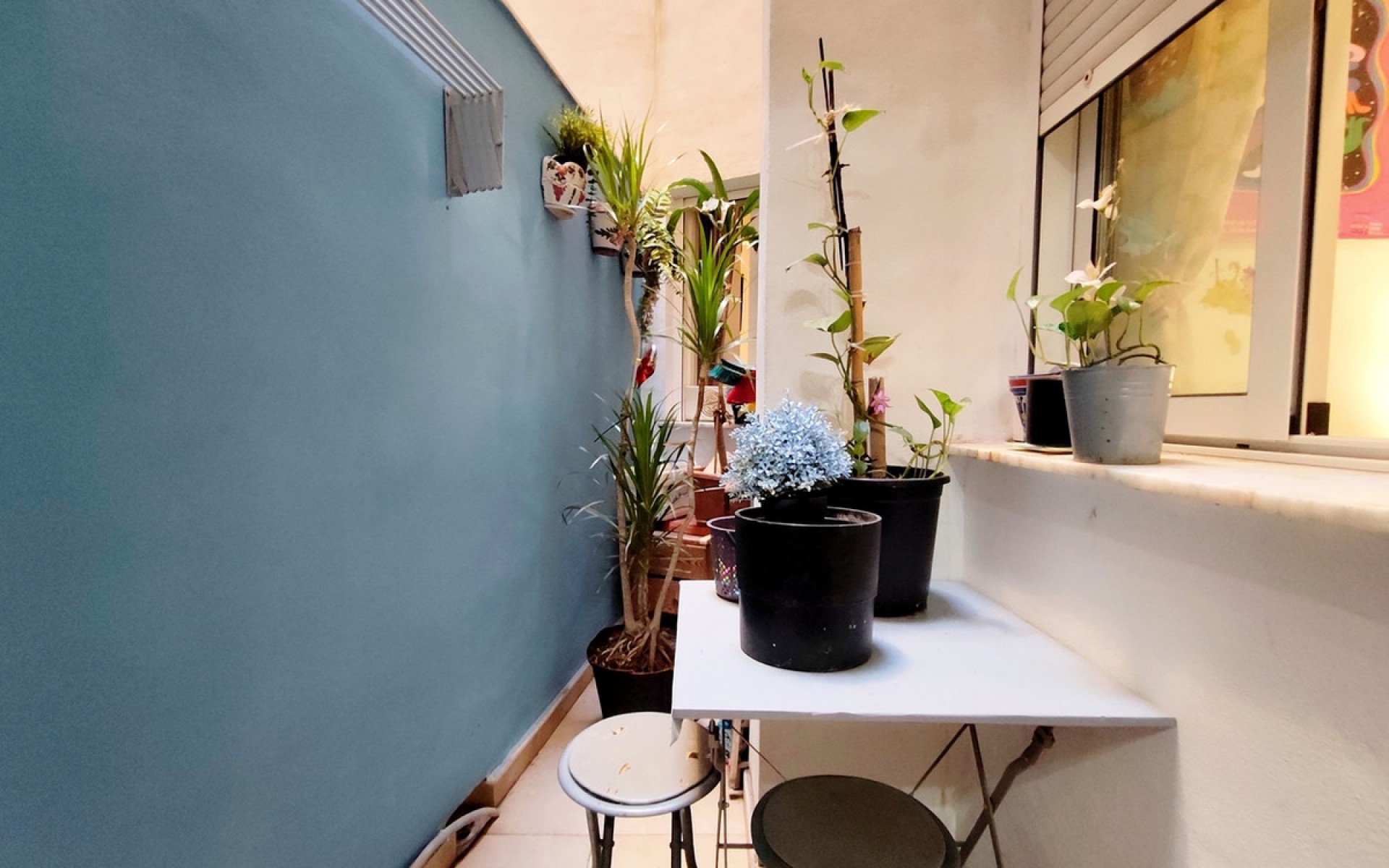 A Vendre - Appartement - Torrevieja - Torrevieja Centro