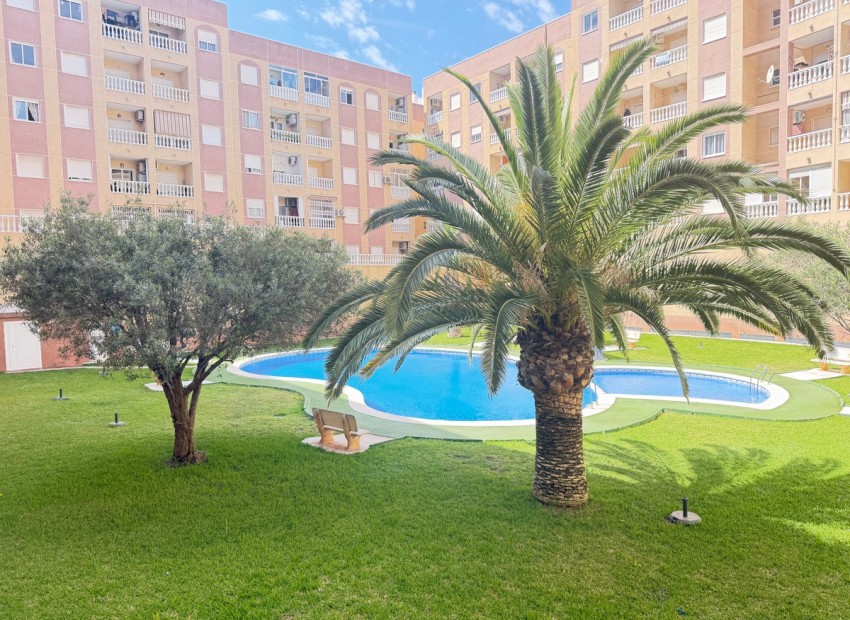 A Vendre - Appartement - Torrevieja - Torrevieja Centro