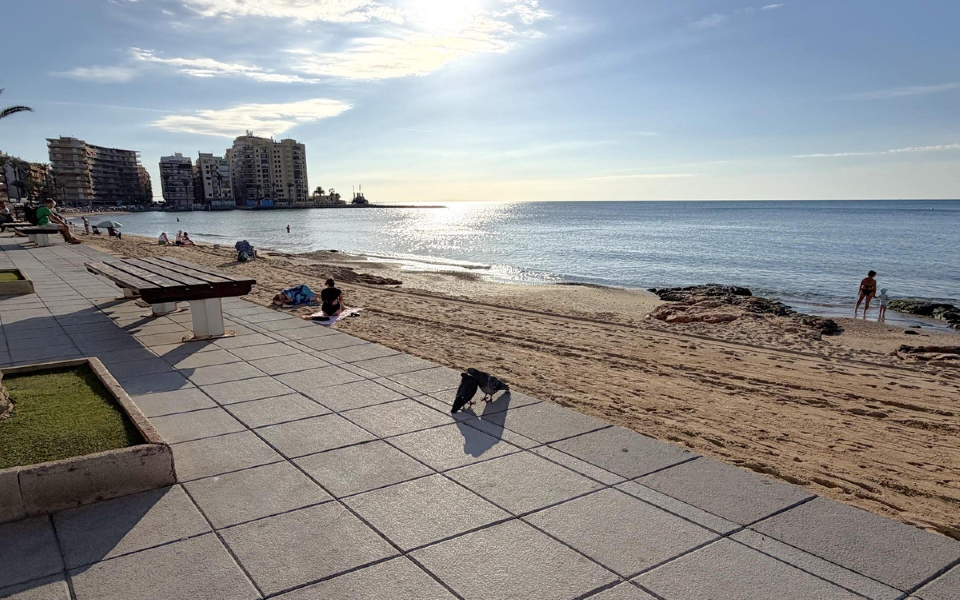 A Vendre - Appartement - Torrevieja - Torrevieja Centro