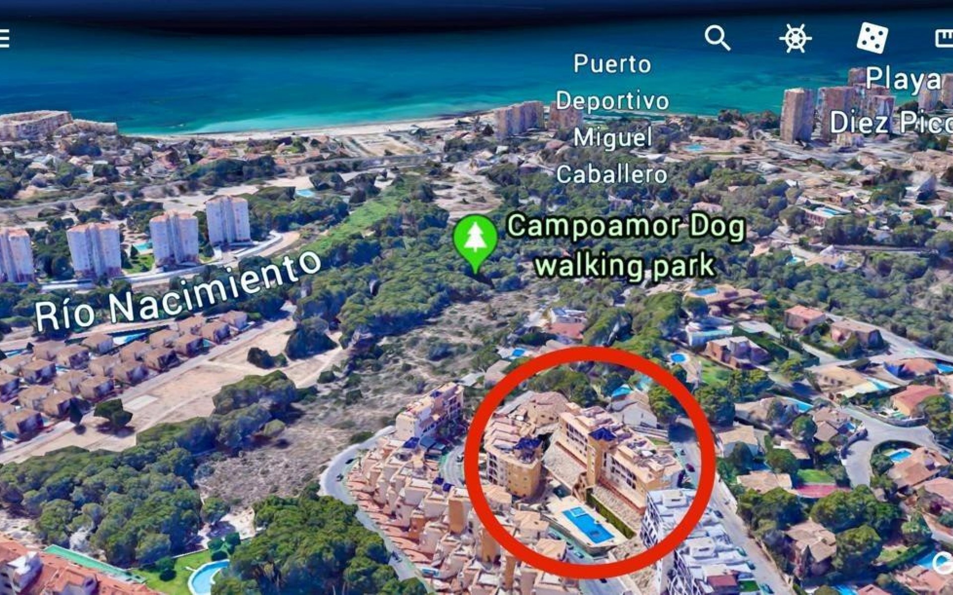 A Vendre - Commercial - Orihuela - Campoamor