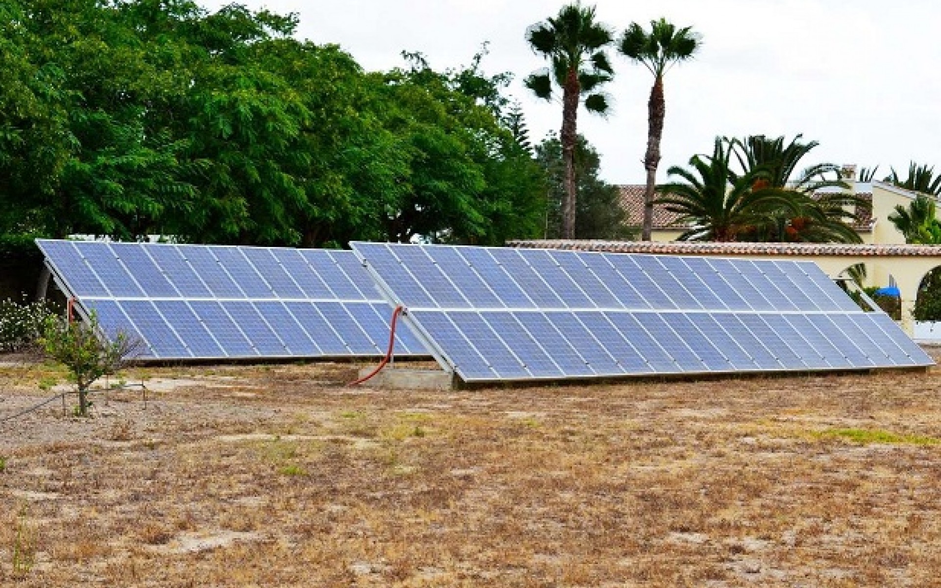 A Vendre -  - Daya Vieja