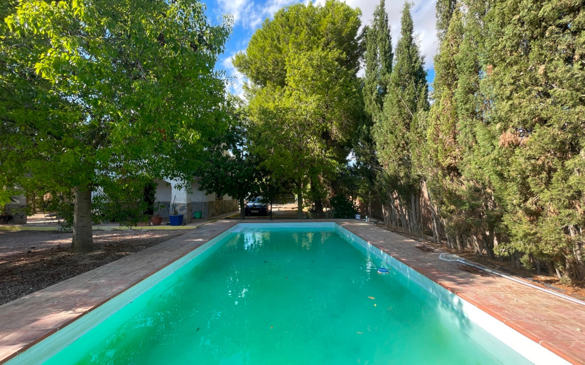 A Vendre - Maison de campagne - Albatera - Albatera Centro