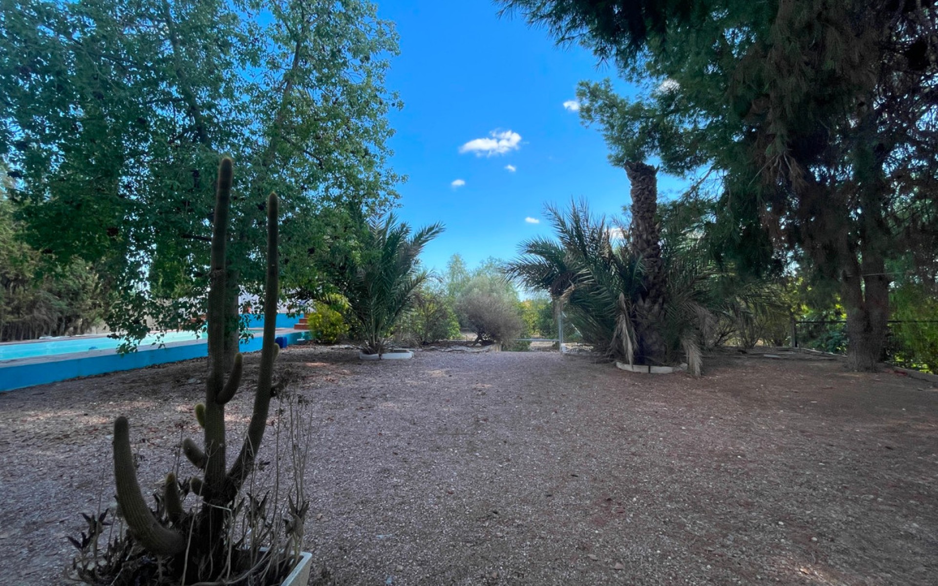 A Vendre - Maison de campagne - Albatera - Albatera Centro