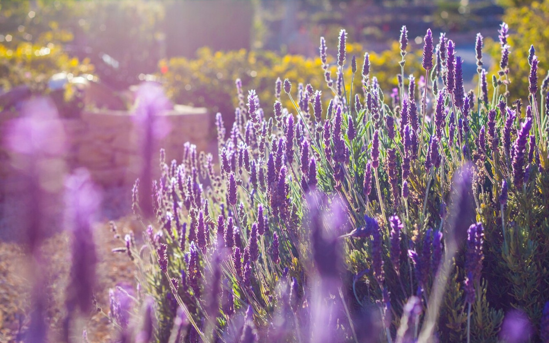 A Vendre - Maison de campagne - BenIssa - Benissa Centro