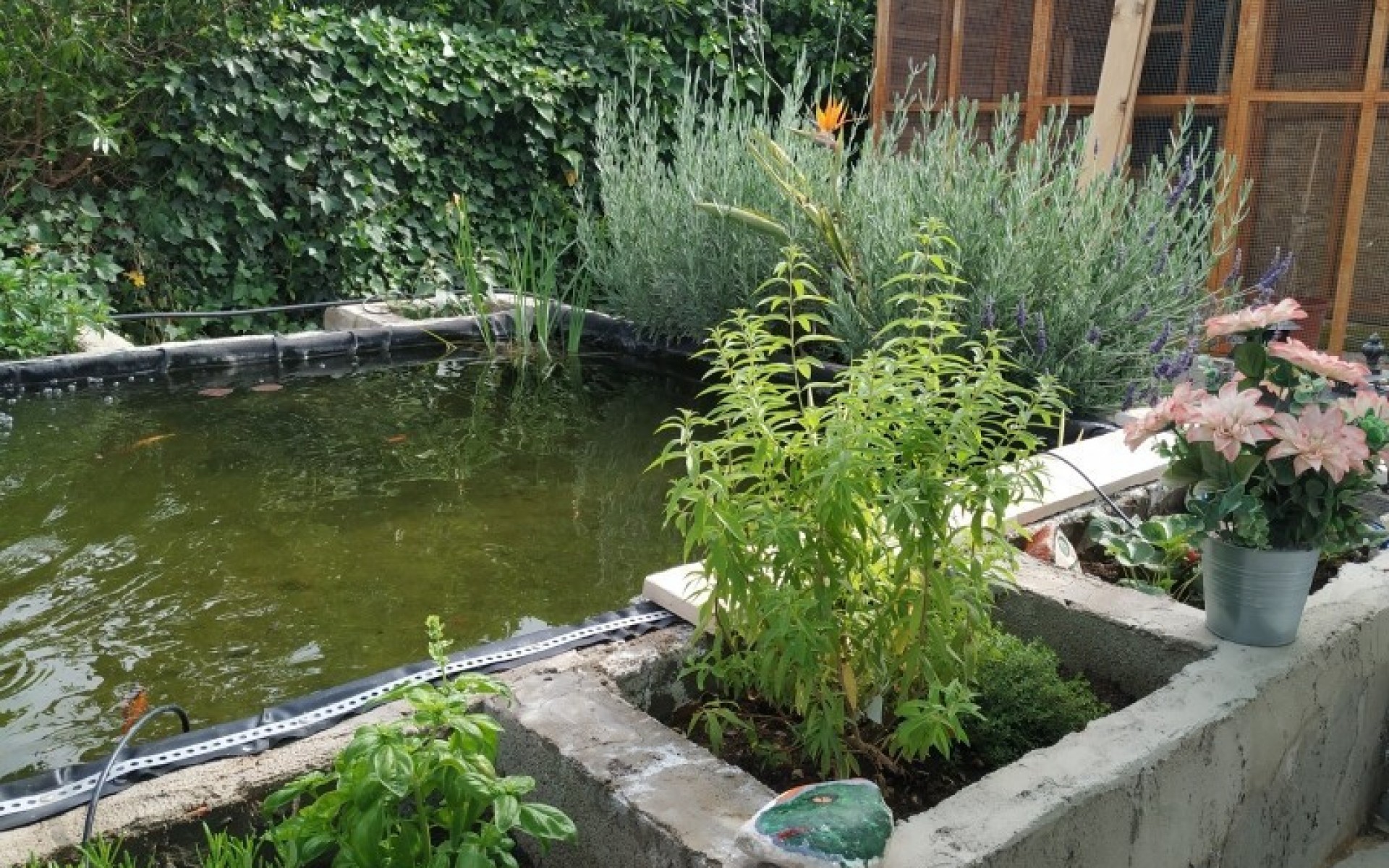 A Vendre - Maison de campagne - Crevillente - Crevillent - Crevillente - Crevillent Centro