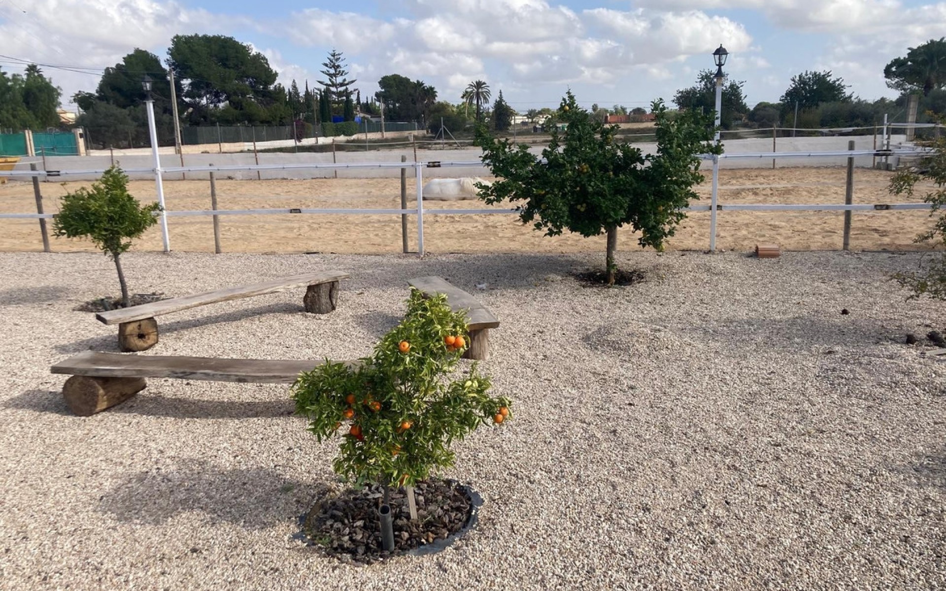 A Vendre - Maison de campagne - Crevillente - Crevillent - Crevillente - Crevillent Centro