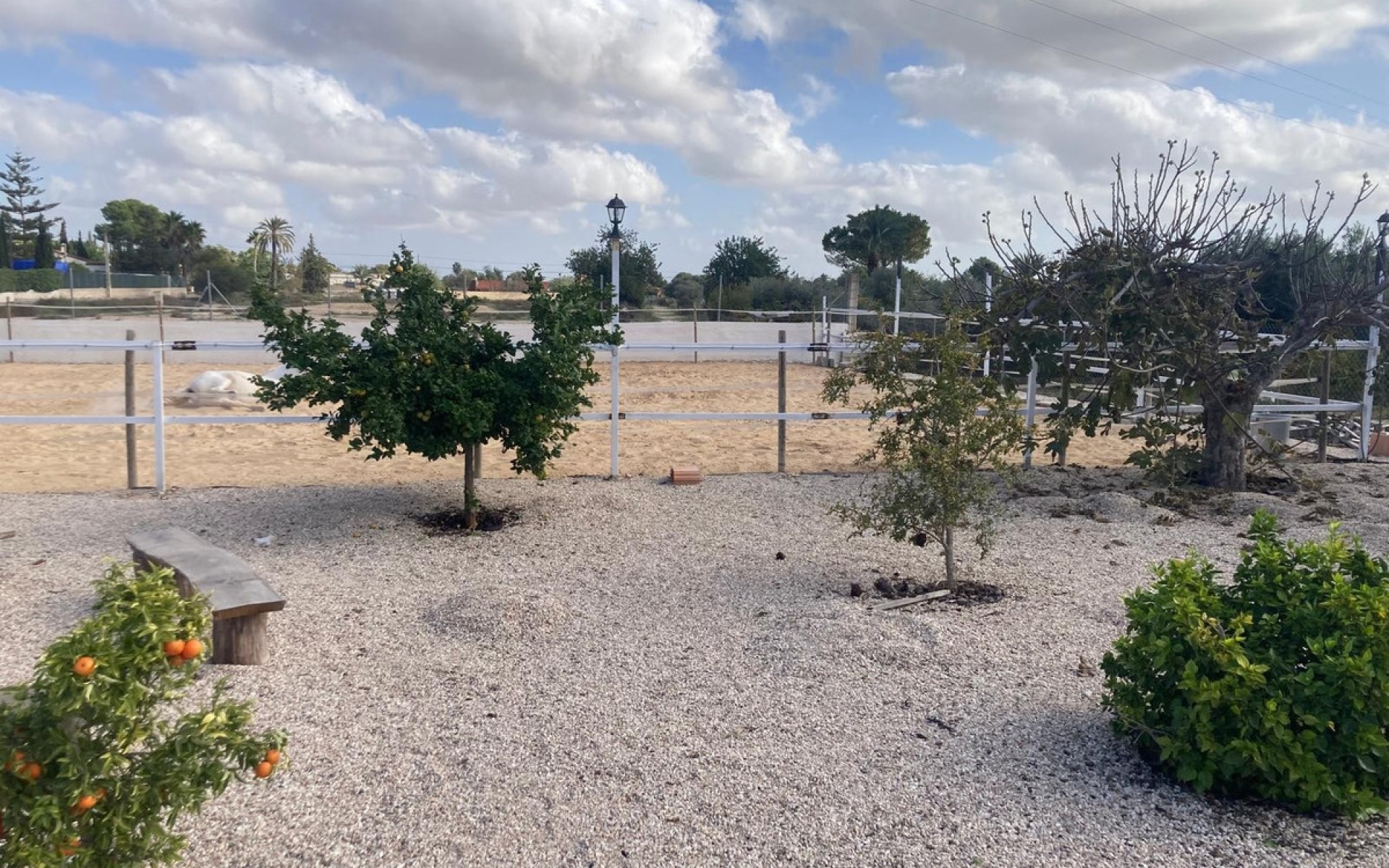 A Vendre - Maison de campagne - Crevillente - Crevillent - Crevillente - Crevillent Centro