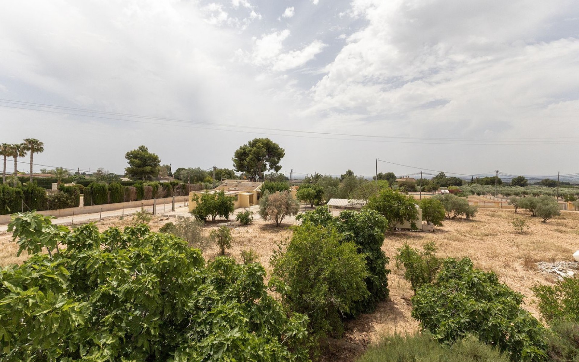 A Vendre - Maison de campagne - Crevillente - Crevillent - Crevillente - Crevillent Centro